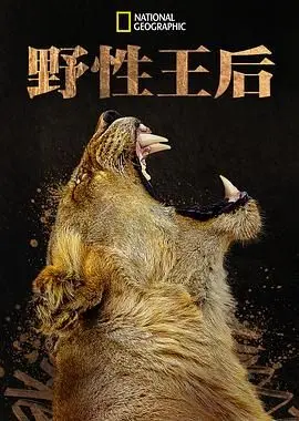 《野性王後》：雌獅的生存哲學與母性光輝，一場關於力量與愛的壯麗史詩